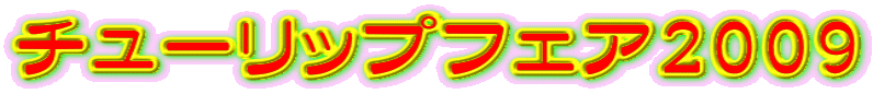 `[bvtFA2009